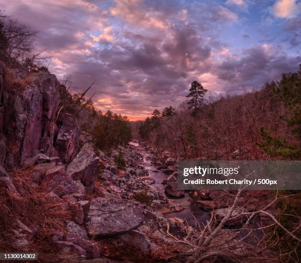 crane pound creek - missouri landscape stock pictures, royalty-free photos & images