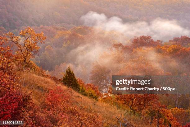 autumn in the ozarks - ozark mountains fotografías e imágenes de stock