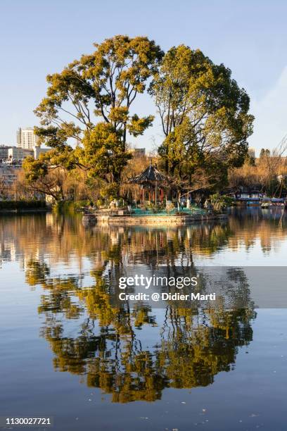 green lake park in kunming, yunnan - yunnan province stock pictures, royalty-free photos & images