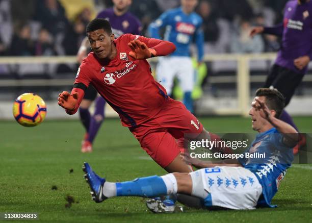 Alban Lafont of ACF Fiorentina and Arkadiusz Milik of SSC Napoli in action during the Serie A match between ACF Fiorentina and SSC Napoli at Stadio...