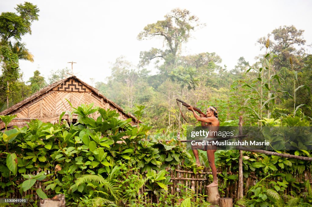 The Mentawai tribe hunting with traditional and handmade shotgun.The indigenous inhabitants ethnic of the islands in Muara Siberut are also known as the Mentawai people.