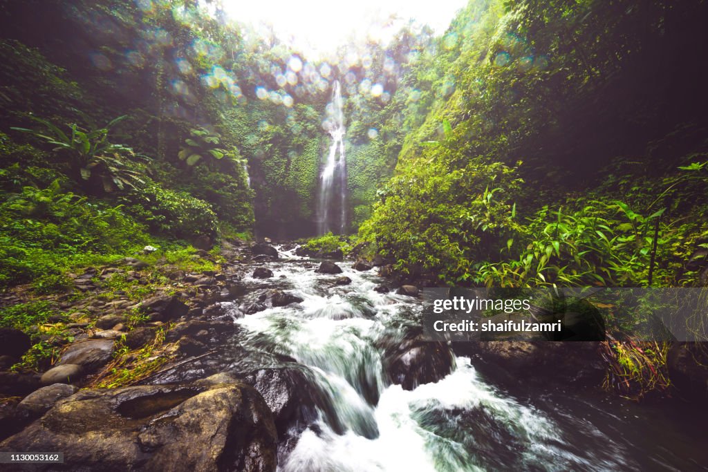 Waterfall hidden in the tropical jungle of Bali, Indonesia.