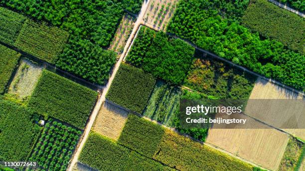 luchtfoto van velden - oogsten stockfoto's en -beelden