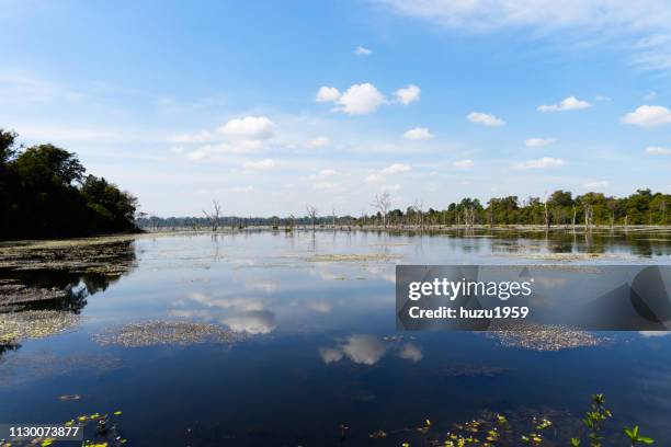 artificial lake of preah khan (preah khan baray) - 貯水池 stock-fotos und bilder