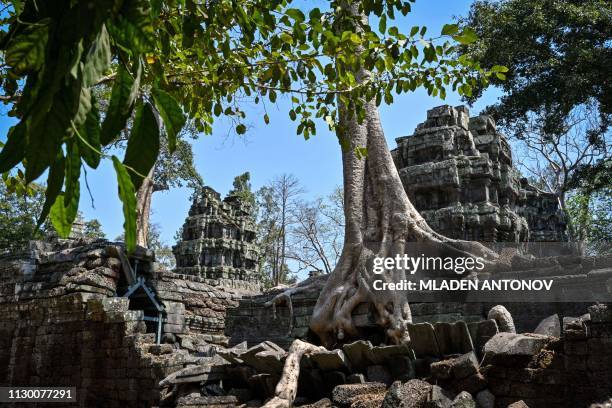 This picture taken on February 13, 2019 shows the temple of Ta Prohm in Siem Reap.