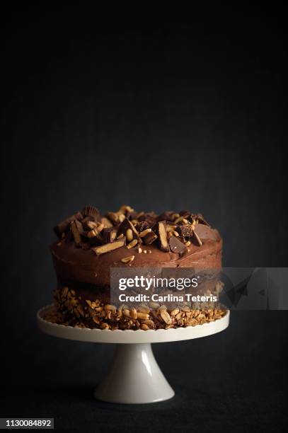 chocolate peanut butter cake on a cake stand - cakestand stock-fotos und bilder