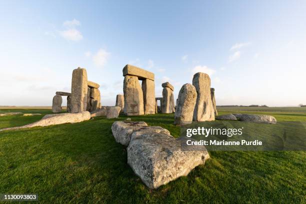 stonehenge in the early morning - stonehenge stockfoto's en -beelden