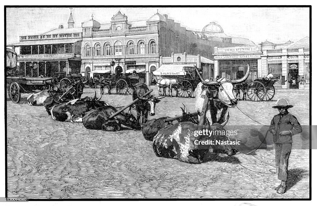 Market in Johannesburg