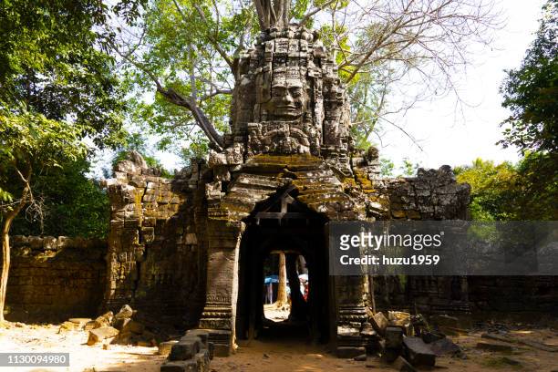 tree on kannon bosatsu (guan yin bodhisattva), ta som, siem reap, cambodia - 記念建造物 個照片及圖片檔