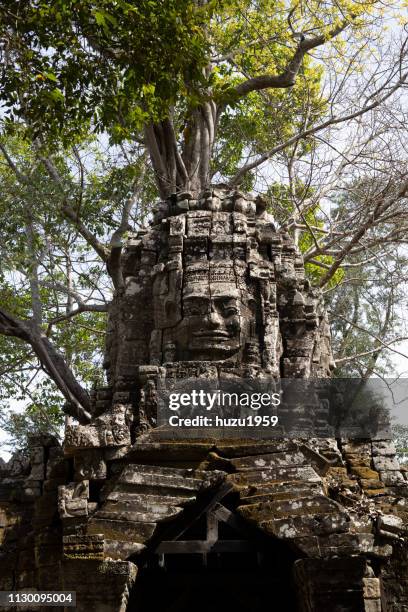 tree on kannon bosatsu (guan yin bodhisattva), ta som, siem reap, cambodia - 記念建造物 stock pictures, royalty-free photos & images