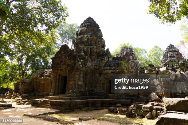 ta som, siem reap, cambodia - 石材 stock-fotos und bilder