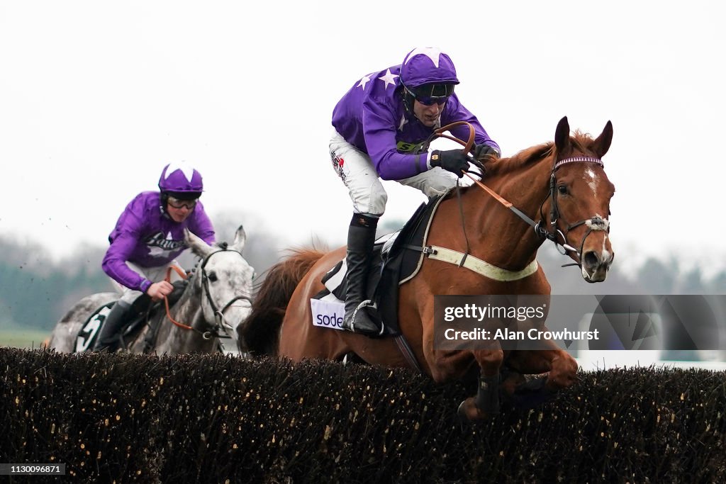 Ascot Races