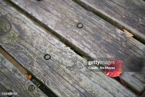 * w a l k - i n - t h e - p a r k * - 古い stockfoto's en -beelden