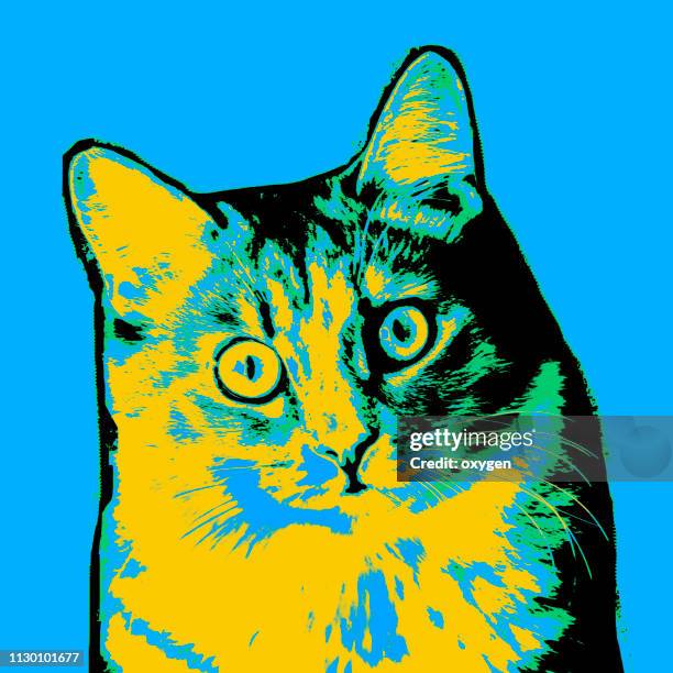 pop art multicolored cat portrait - draft portraits stock-fotos und bilder