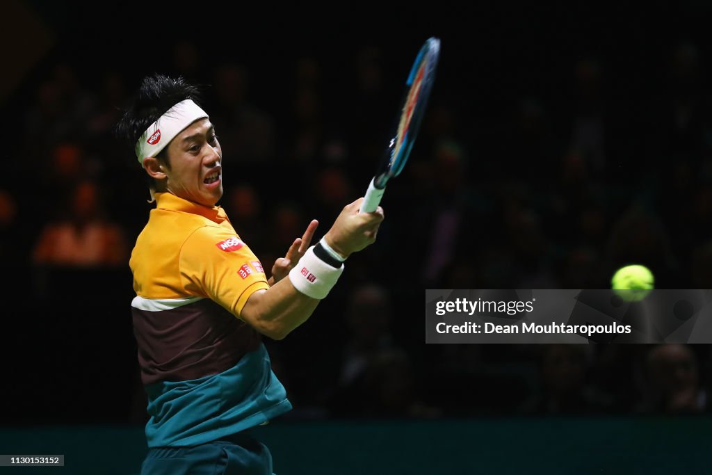 ABN AMRO World Tennis Tournament - Day Six