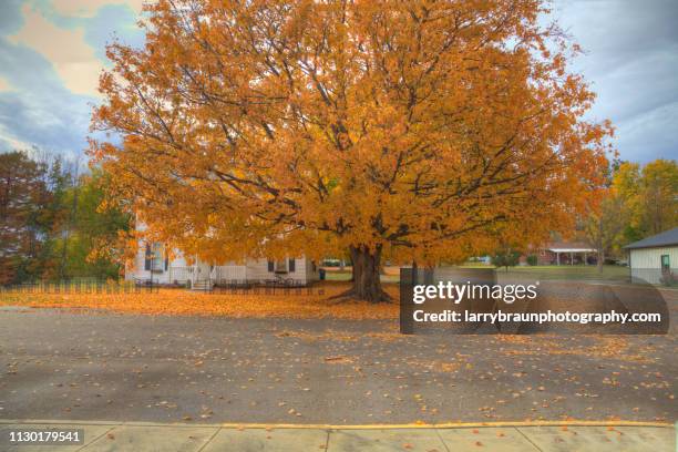 1,109 Maple Drive Stock Photos, High-Res Pictures, and Images - Getty ...