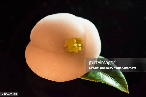 japanese camellia confectionery made of beans - 屋内 stock pictures, royalty-free photos & images