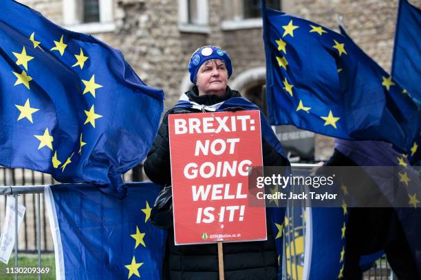 Anti-Brexit protesters demonstrate outside the Houses of Parliament on March 13, 2019 in London, England. Last night MPs voted 242 to 391 against...