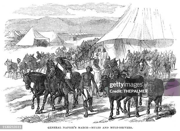 general napier march engraving 1868 - wari stock illustrations