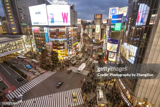 tokyo shibuya crossing skyline aerial view, shibuya ward, japan at night. - statua di hachiko a shibuya foto e immagini stock