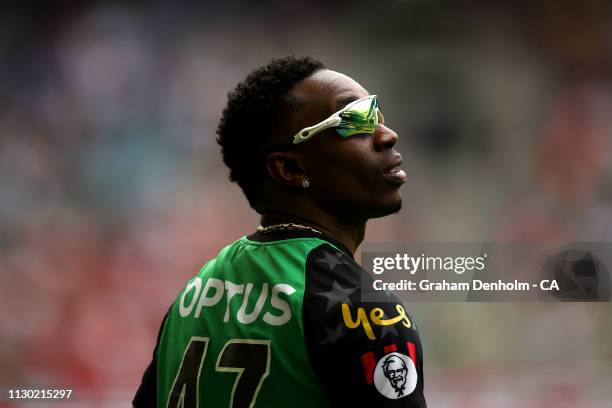 Dwayne Bravo of the Stars looks on during the Big Bash League Final match between the Melbourne Renegades and the Melbourne Stars at Marvel Stadium...