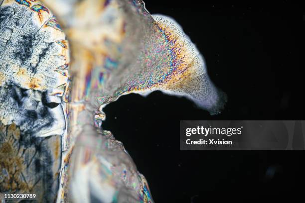 ferrous sulfate crystalization under polarized light - crystalization stock pictures, royalty-free photos & images
