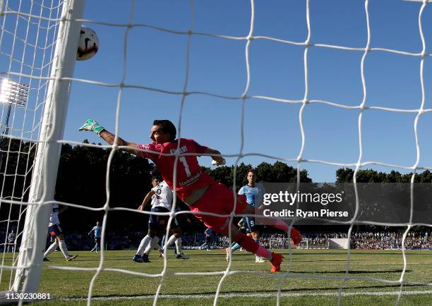 Ben Kennedy of the Mariners deflects a shot from Adam le Fondre of Sydney FC onto the post during the round 19 A-League match between Sydney FC and...