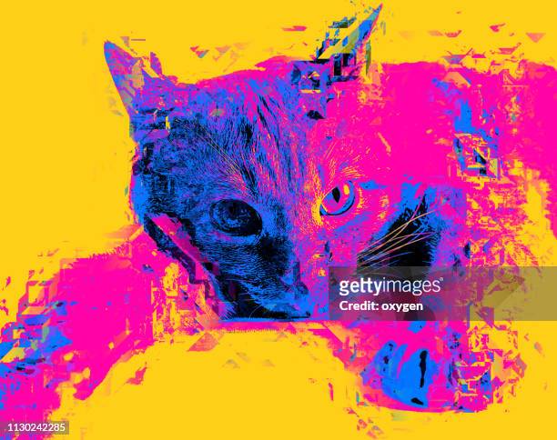 pop art multicolored cat portrait - pets icon blue stock pictures, royalty-free photos & images