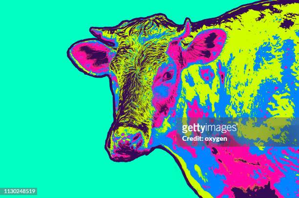 pop art multicolored cow portrait - pets icon blue stock pictures, royalty-free photos & images