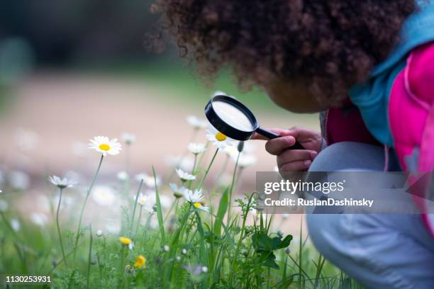 a curious girl looking at flowers / plants. - child magnifying glass stock pictures, royalty-free photos & images