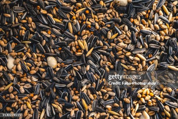 birdseed (close up) - speisen und getränke stock pictures, royalty-free photos & images