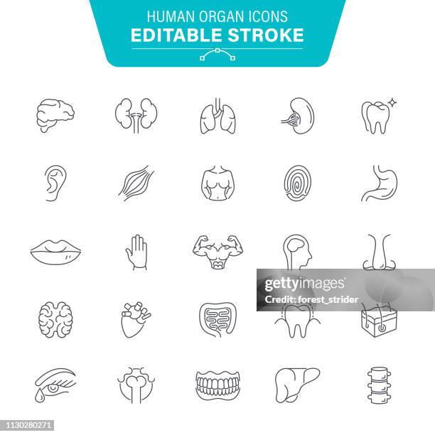 human internal organs icons - human tongue stock illustrations