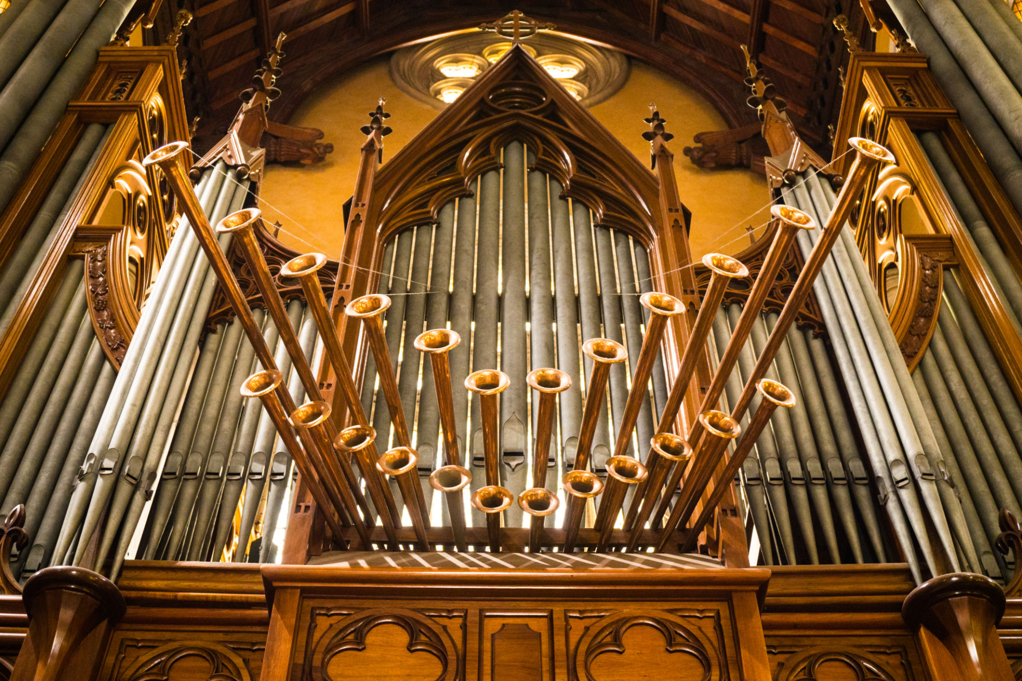 organ concert
