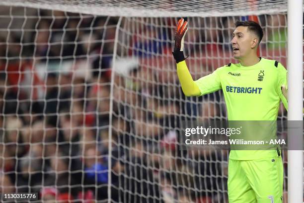 Costel Pantilimon of Nottingham Forest during the Sky Bet Championship match between Nottingham Forest and Aston Villa at City Ground on March 13,...