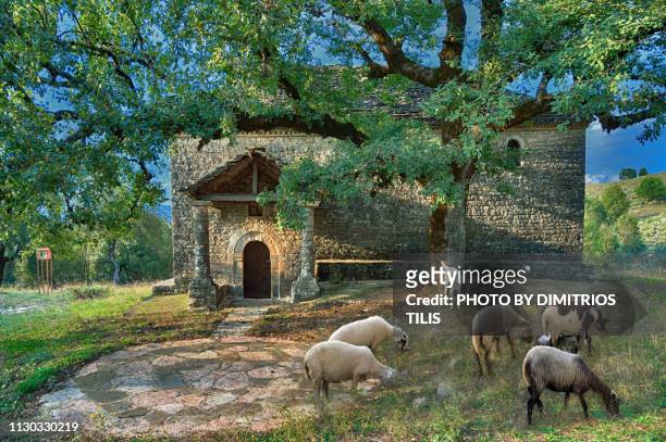 pastoralism at holy monastery of the of the virgin mary's birth(1736) 4 - epirus greece stock pictures, royalty-free photos & images