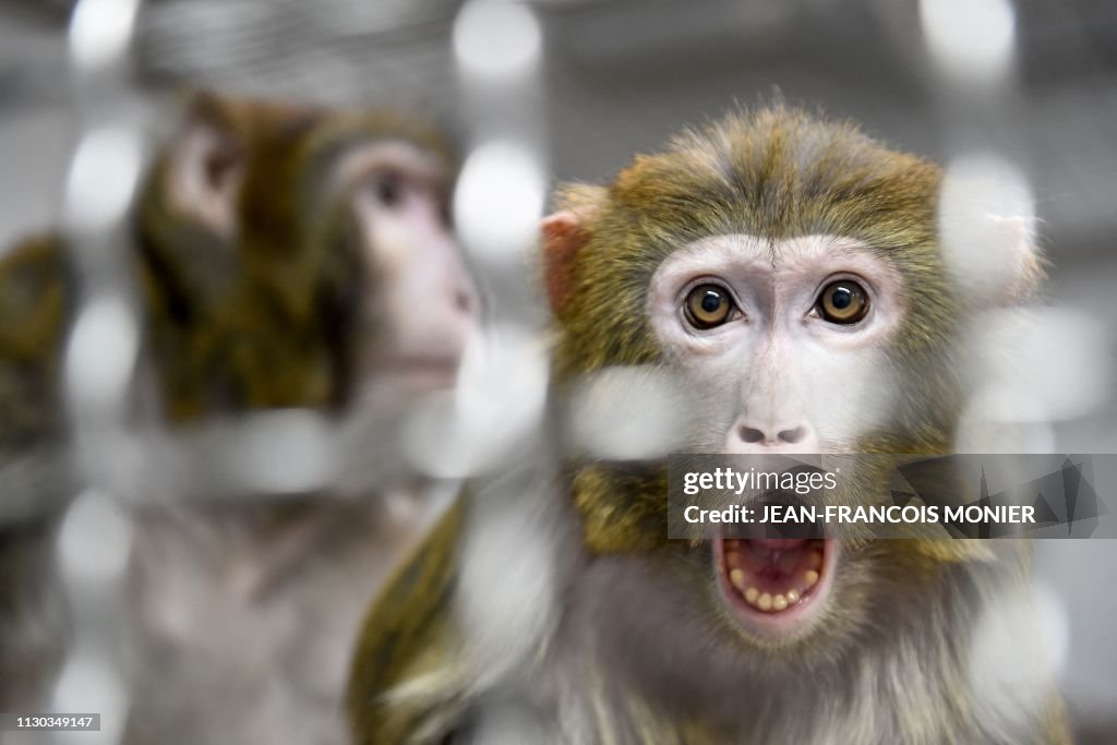 FRANCE-ANIMAL-ZOO-TOURISM