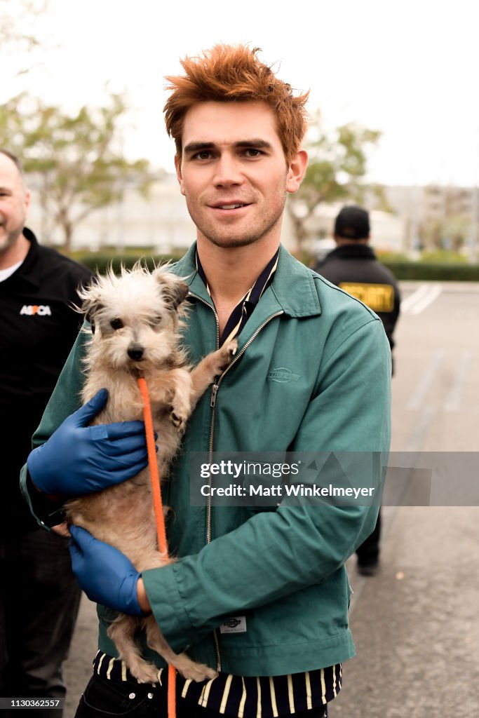 KJ Apa And Bumble Winner Volunteer With ASPCA At Annenberg PetSpace