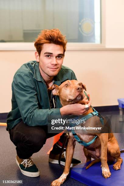 Apa and Bumble Winner volunteer with ASPCA at Annenberg PetSpace on February 17, 2019 in Playa Vista, California.