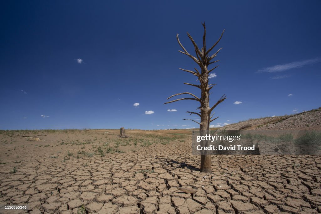 Dry cracked earth