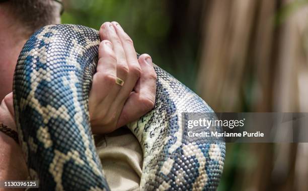 370 Black Zoologist Stock Photos, High-Res Pictures, and Images - Getty ...