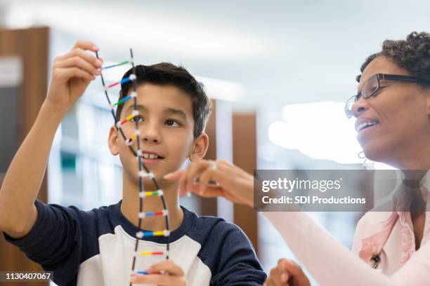 tutor helps student study for science class - helix model stock pictures, royalty-free photos & images