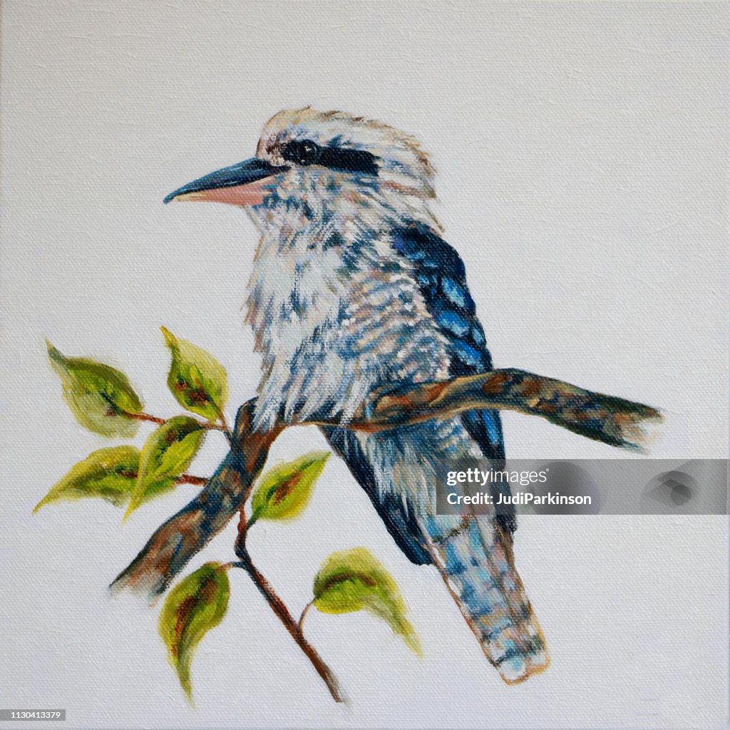 Australian Kookaburra Oil Painting