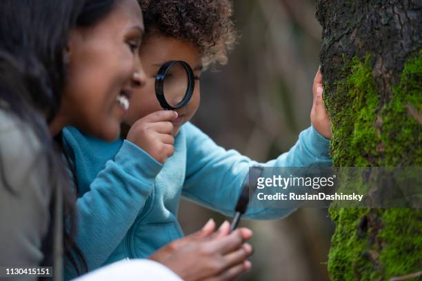 mother and daughter exploring trees. - israel nature stock pictures, royalty-free photos & images