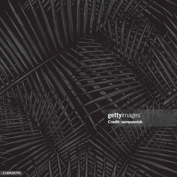 ilustrações de stock, clip art, desenhos animados e ícones de seamless tropical palm frond pattern - folha de palmeira