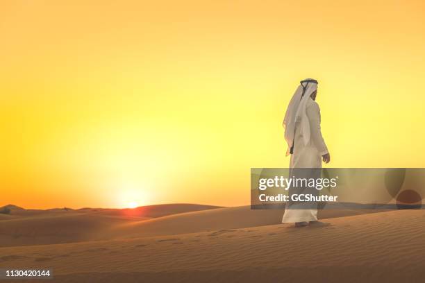arab man admiring expansive dunes during sunset - sheik stock pictures, royalty-free photos & images