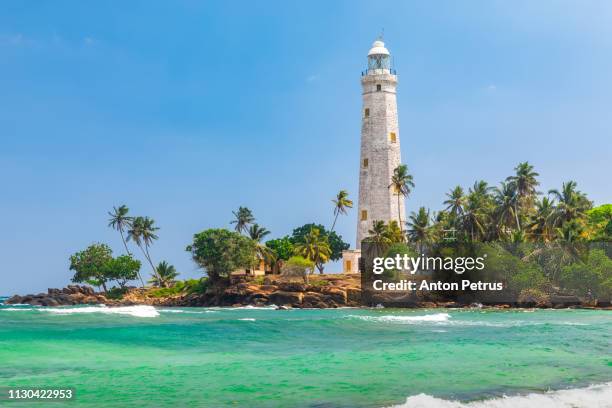 white lighthouse dondra head and tropical palms, sri lanka - negombo stockfoto's en -beelden