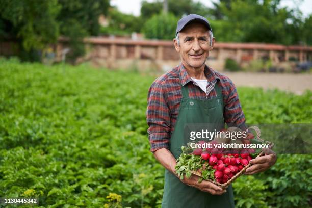 boer bedrijf mandje met groenten - bulgarije stockfoto's en -beelden