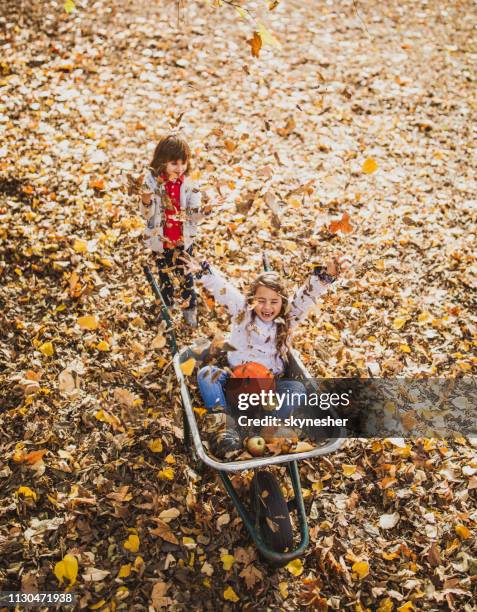 above view of playful kids having fun with leaves in autumn day. - throwing leaves stock pictures, royalty-free photos & images