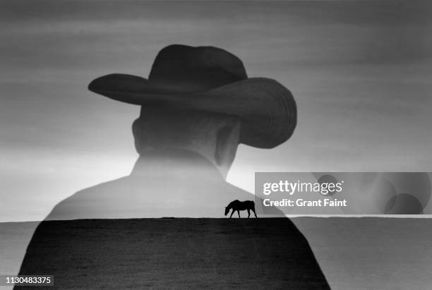 silhouette of cowboy and scenic view - epic film stock-fotos und bilder