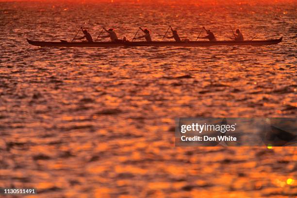 island of maui in hawaii - outrigger stock pictures, royalty-free photos & images